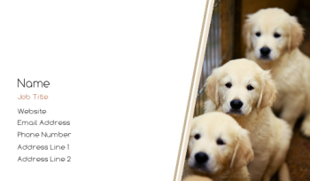 Animals & Pets Business Card 809