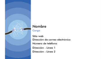 IT/ Ingeniería Tarjeta Profesional 517