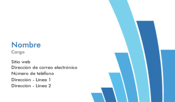 Negocios y consultoría Tarjeta Profesional 315