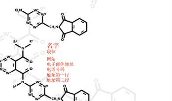 信息技术与科学 Business Card 1229