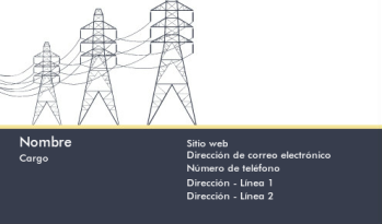 IT/ Ingeniería Tarjeta Profesional 479