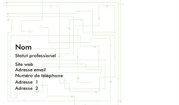 Informatique Carte de visite 811