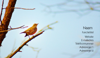 Dieren en huisdieren Visitekaartje 1271