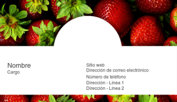 Alimentos, bebidas y restaurantes Tarjeta Profesional 291