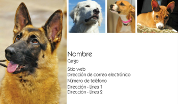 Animales y mascotas Tarjeta Profesional 788