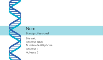 Services à la personne Carte de visite 348