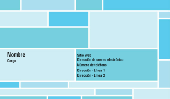 Tarjeta Profesional 1170