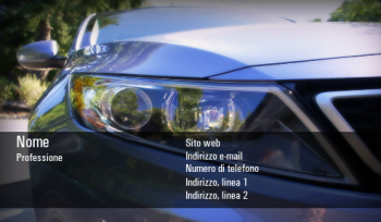 Settore automobilistico e trasporti Biglietto da visita 312