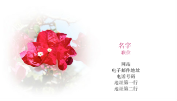 美妆与时尚 Business Card 564