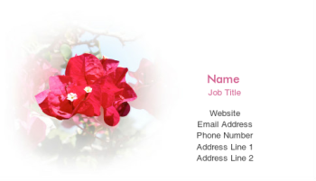 Beauty & Massage Business Card 564