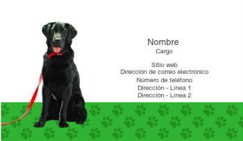 Animales y mascotas Tarjeta Profesional 1034