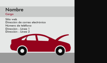 Automovilismo y transporte Tarjeta Profesional 770