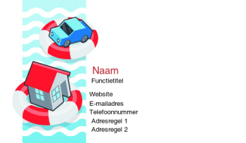 Financieel en verzekeringen Visitekaartje 590