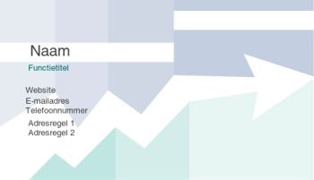 Bedrijven en consulting Visitekaartje 863