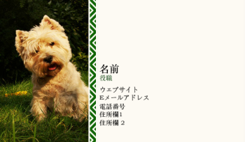 動物 & ペット Business Card 880