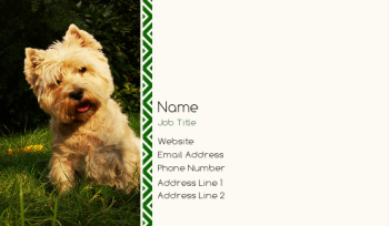 Animals & Pets Business Card 880