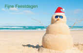  Feestdagen & Bijzondere Gelegenheden holiday card 47