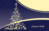 Fêtes et évènements spéciaux holiday card 43