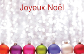 Fêtes et évènements spéciaux holiday card 1