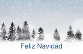 Días festivos y ocasiones especiales holiday card 49