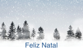 Datas comemorativas e ocasiões especiais holiday card 49