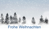 Feiertage & besondere Anlässe holiday card 49