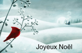 Fêtes et évènements spéciaux holiday card 4