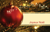 Fêtes et évènements spéciaux holiday card 105