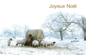 Fêtes et évènements spéciaux holiday card 100