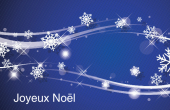 Fêtes et évènements spéciaux holiday card 50