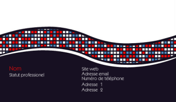 Informatique Carte de visite 742
