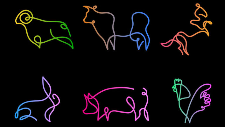 Colored outlines of animals