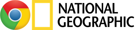 Simple Color scheme logo examples